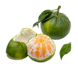 Mandarine Green
