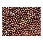 Roasted Hazelnut