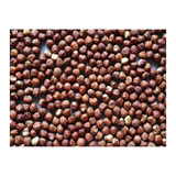 Roasted Hazelnut