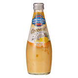American Harvest Coconat Milk Drink Mango Flaver 290Ml
