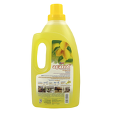 Yuri Agano Antibacterial Floor Clear Lemon Fresh 1000ml