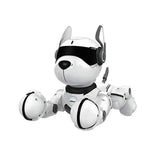 DH220311-111telecontrol leidy dog A001