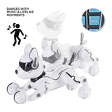 DH220311-111telecontrol leidy dog A001