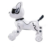 DH220311-111telecontrol leidy dog A001