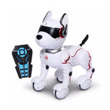 DH220311-111telecontrol leidy dog A001