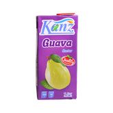 Kanz Guava Nectar TetraPak 1Ltr