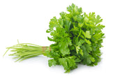 Kabsar Caleen (Fresh Coriander Leaves Bunch)