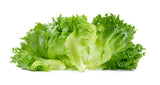 Fresh Lettuce Salad Leaves 1Kg.