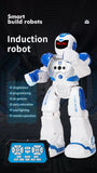 DH220420-1 Intelligent Interactive Smart Toys robots