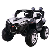 M210825-54 12V7 Motor Door Open 3 Speed With Rocking With Usb Mp3 Remote