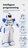 DH220420-1 Intelligent Interactive Smart Toys robots