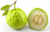 Seytuun(Guava)