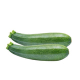 Zucchini