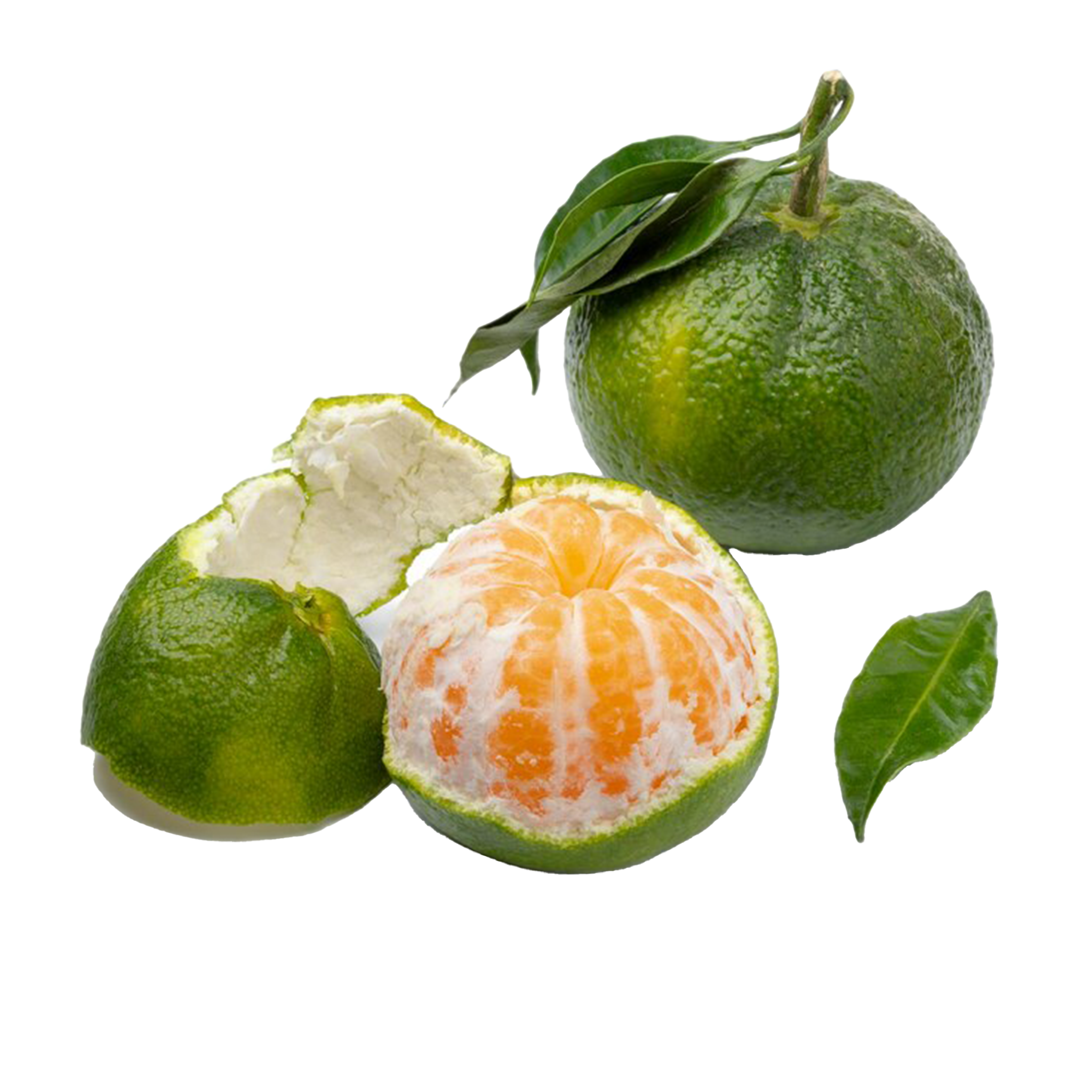 Mandarine Green