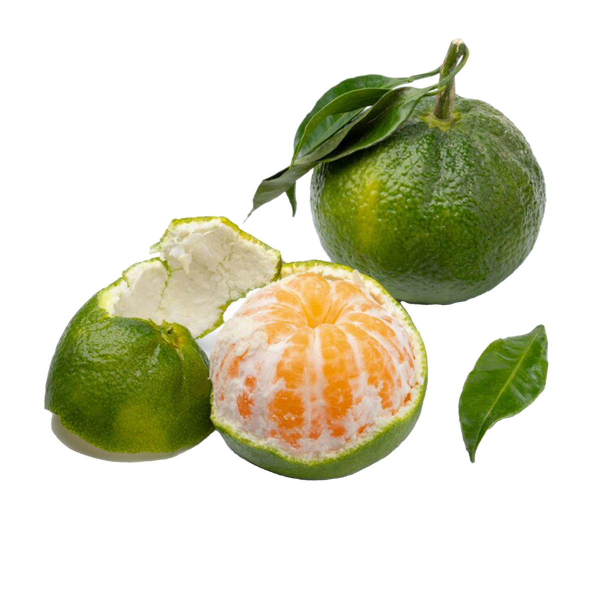 Mandarine Green