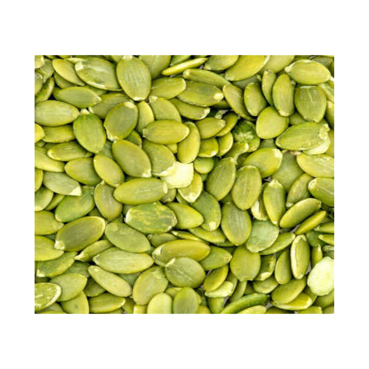 Pumpkin Seed