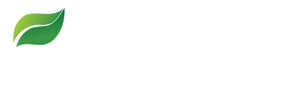 Adeeg.com by Hayat Market
