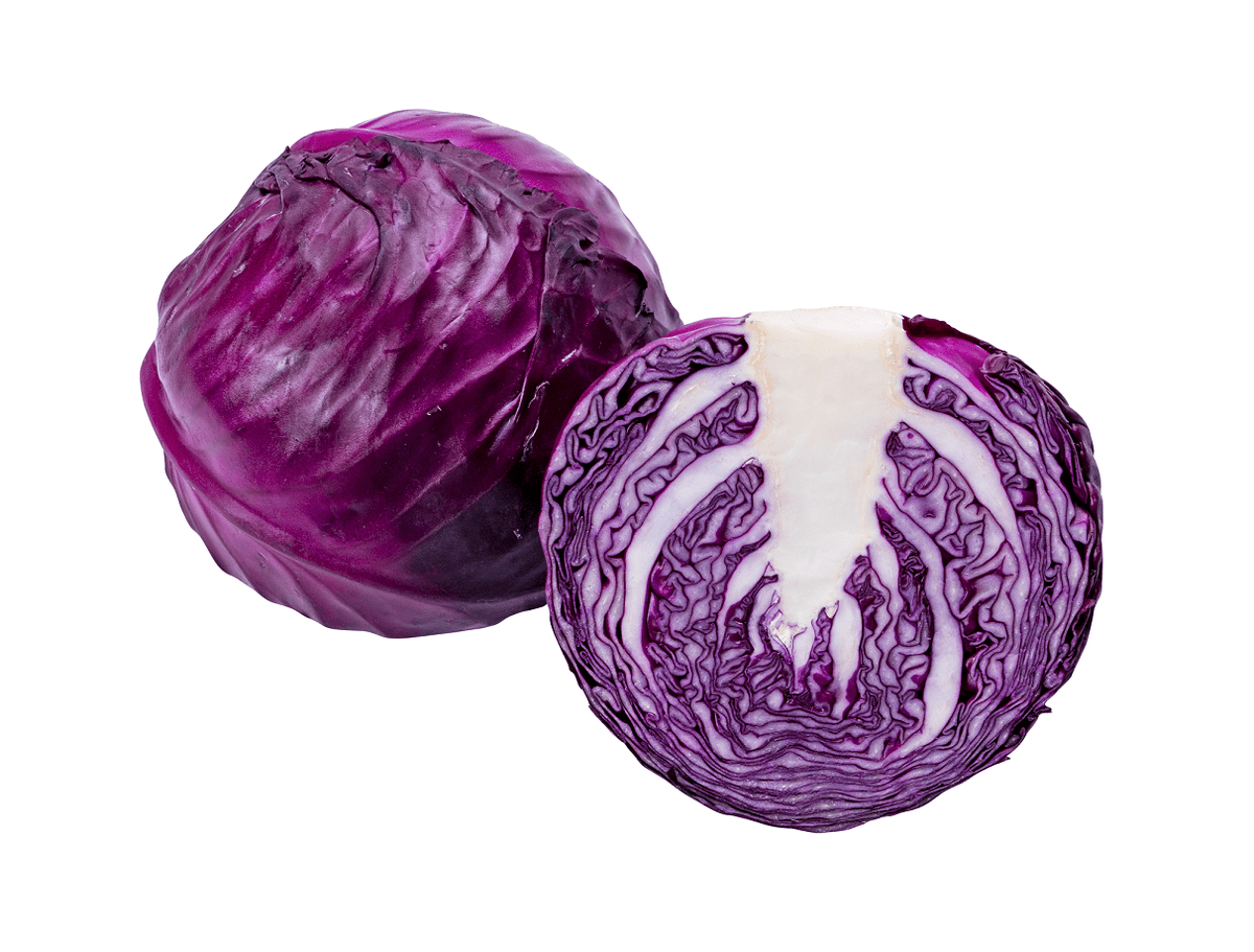 Kabash (Purple Cabbage)