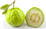 zeytuun(Guava)