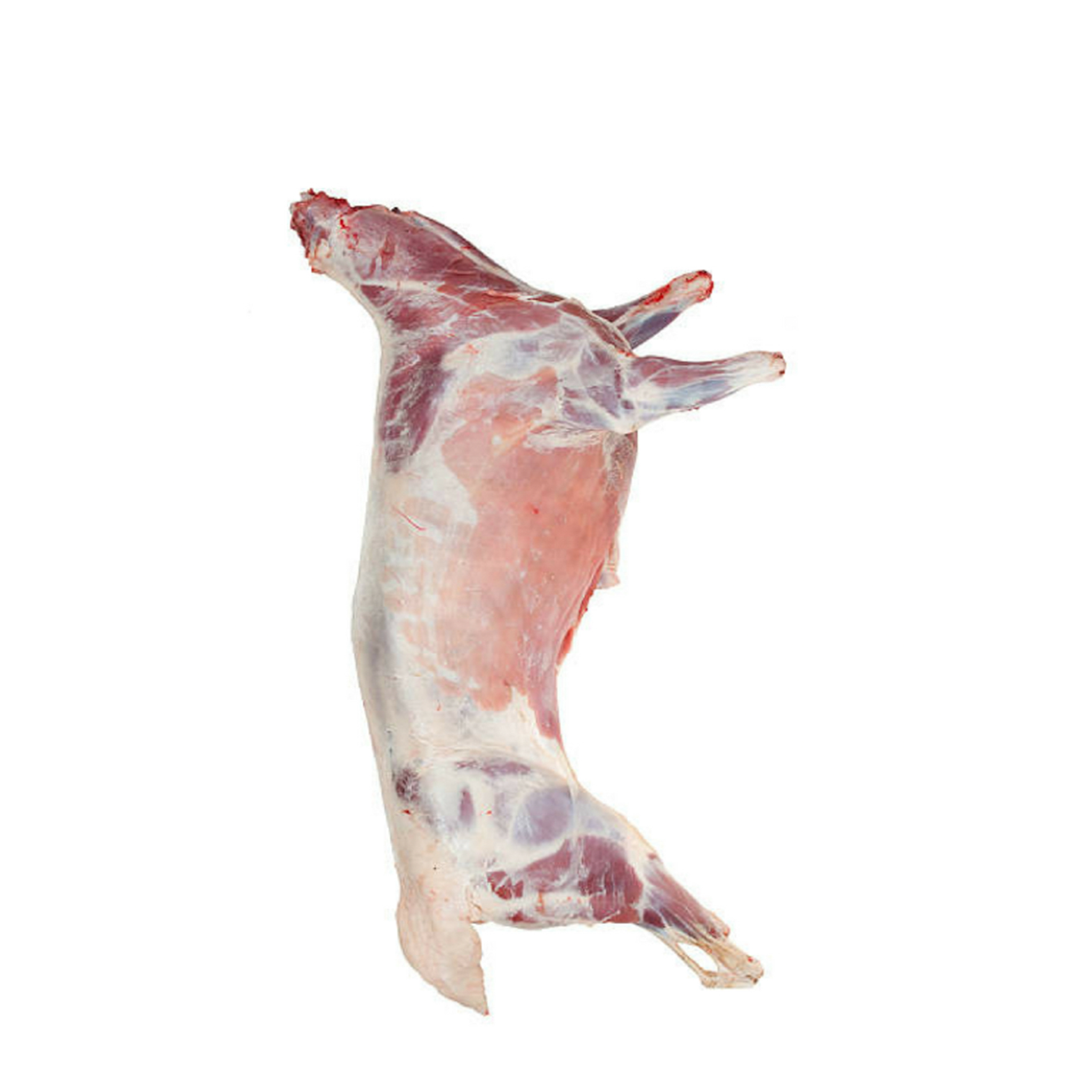 Dhaylo (Mutton Lamb Full Goat)